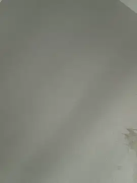 Foxdaguy online show from 30, 5, 2026