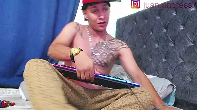 Stone grey1  online show from 24, 2, 2026