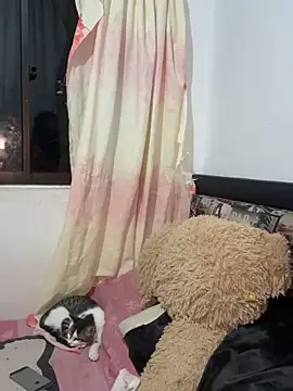 Candy Roose online show from 13, 9, 2025