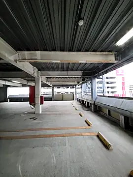 ikeike-kun online show from 8, 10, 2025