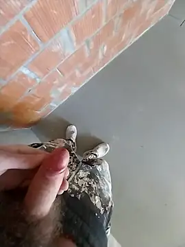 Snapshot of MaksDzubaV chatting on 7, 3, 2026 MaksDzubaV online show from 7, 3, 2026