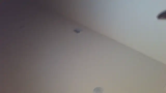 shurthingx online show from 14, 4, 2026