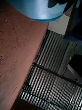 Snapshot of 317894 chatting on 24, 10, 2025 317894 online show from 24, 10, 2025