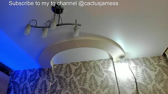 Cactus  James online show from 28, 6, 2026