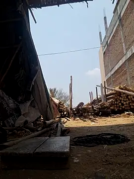 hot integer online show from 21, 4, 2026