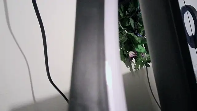 cherryboom23 online show from 19, 3, 2026