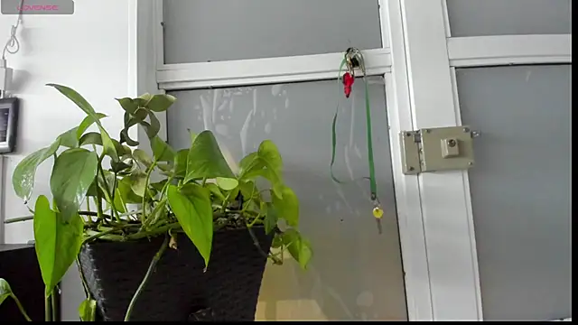 Andrew Taylor09 online show from 27, 4, 2026