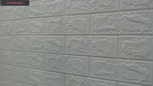 nei girl online show from 28, 9, 2025