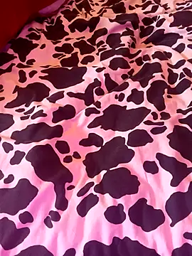 chahoda246 online show from 8, 1, 2026