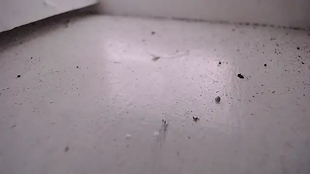 Valensx oficiall online show from 29, 4, 2026