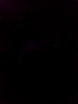 WALESKABBW ASS online show from 24, 4, 2026