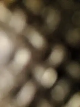 geilerschwanz556r7 online show from 30, 9, 2025