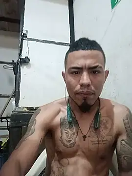 Trigongo online show from 8, 7, 2026