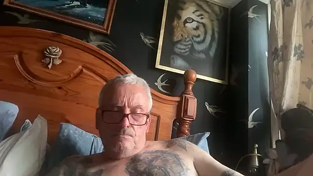 poggles online show from 17, 7, 2026