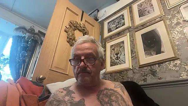poggles online show from 22, 7, 2026