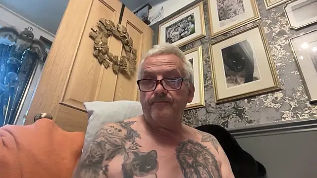 poggles online show from 28, 7, 2026