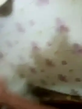 Snapshot of zim200 chatting on 12, 4, 2026 zim200 online show from 12, 4, 2026