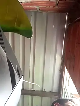 Snapshot of 527ca chatting on 4, 4, 2026 527ca online show from 4, 4, 2026