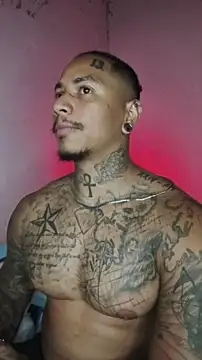 David tatto1 online show from 2, 2, 2026