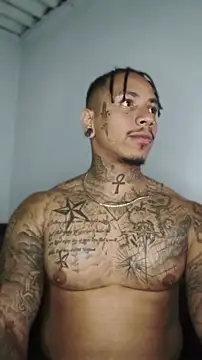 David tatto1 online show from 11, 6, 2026