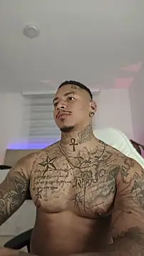 David tatto1 online show from 28, 7, 2026