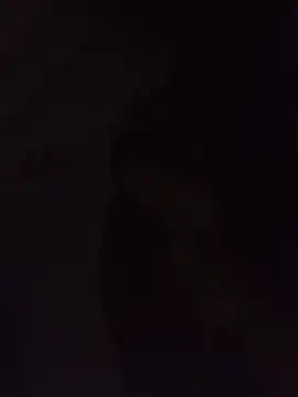 Sexxoophone online show from 3, 7, 2026