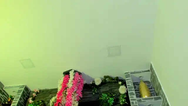 Sebax Young online show from 16, 4, 2026