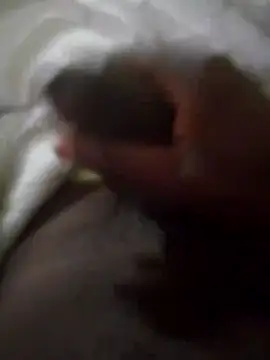 Snapshot of 92donis chatting on 30, 9, 2025 92donis online show from 30, 9, 2025