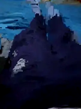 Snapshot of 92donis chatting on 1, 12, 2025 92donis online show from 1, 12, 2025