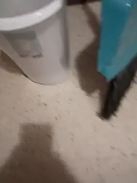 Crossedsissy online show from 10, 3, 2026