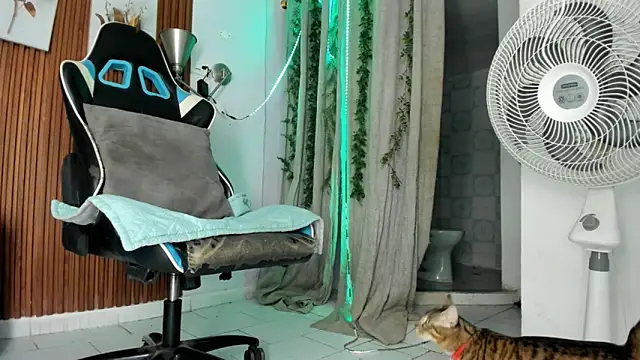 Darwin mayo online show from 22, 12, 2025