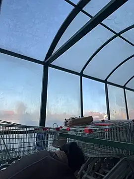 MiraReach online show from 15, 10, 2025