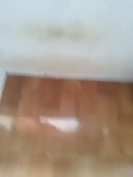 O Mascarado NK online show from 21, 3, 2026