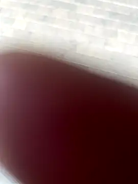 kamo012000 online show from 9, 10, 2025