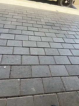 kamo012000 online show from 11, 2, 2026