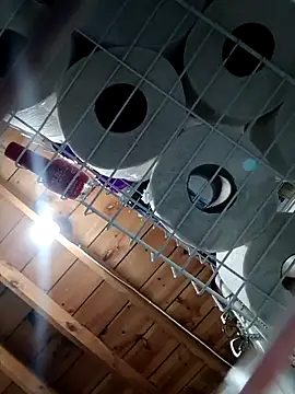 Single lagunero online show from 16, 3, 2026