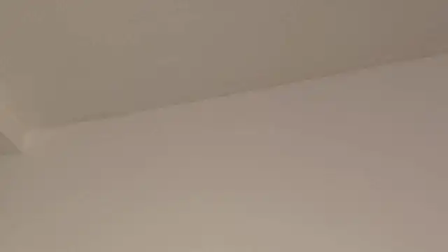 Aleecandrews online show from 24, 11, 2025