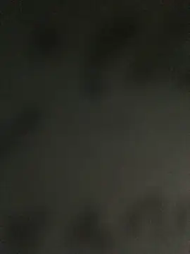 MusaAyla online show from 8, 4, 2026