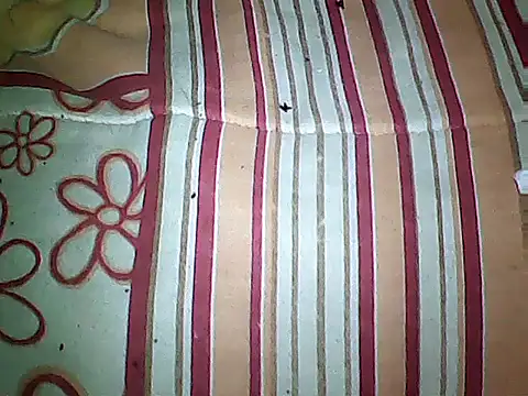 20cmloiro online show from 16, 9, 2025