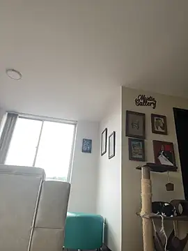 Megan colsom online show from 25, 9, 2025