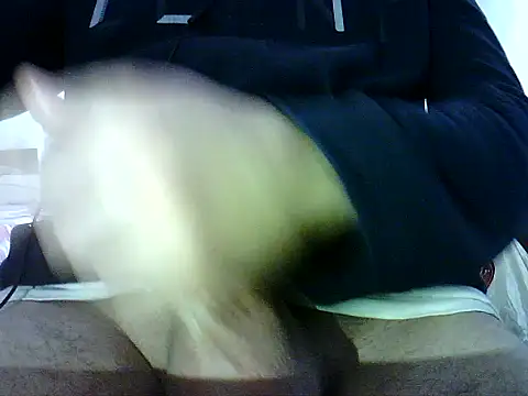 Snapshot of photo3995 chatting on 12, 1, 2026 photo3995 online show from 12, 1, 2026