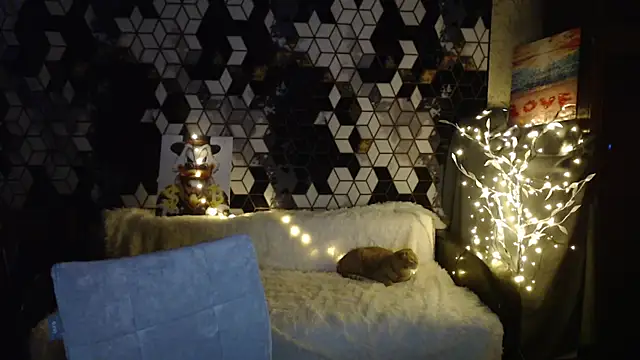 NikaSkylink online show from 27, 2, 2026