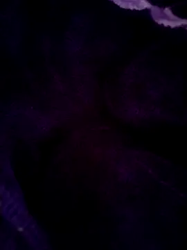 Snapshot of saneer69tew chatting on 25, 5, 2026 saneer69tew online show from 25, 5, 2026