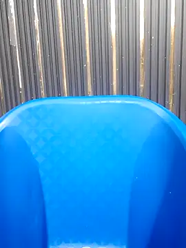 Snapshot of AnkitaDevi chatting on 14, 10, 2025 AnkitaDevi online show from 14, 10, 2025