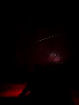 lis2025 online show from 14, 3, 2026