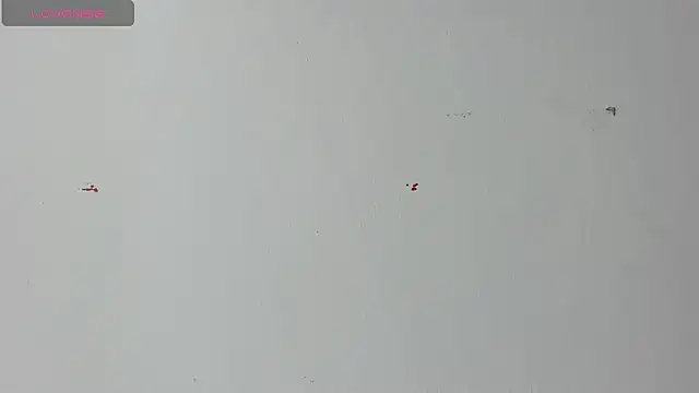 Lady miss    online show from 18, 4, 2026