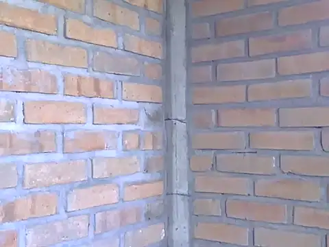 Boycumlatino online show from 15, 10, 2025