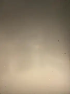 sasatimido online show from 14, 10, 2025