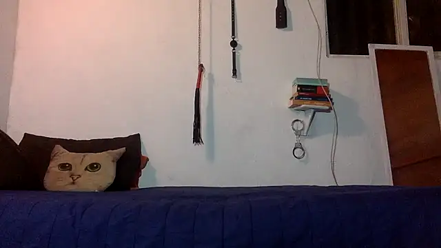 Snapshot of indomitaFox chatting on 8, 11, 2025 indomitaFox online show from 8, 11, 2025