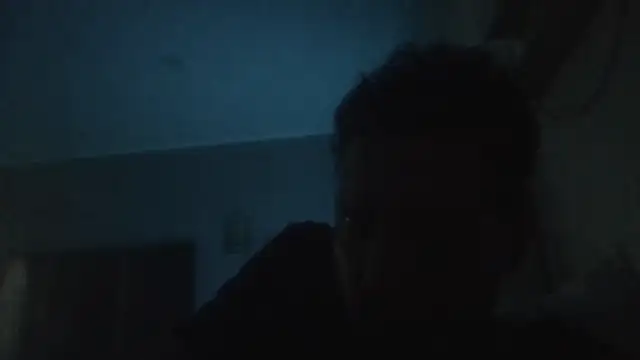 Snapshot of ARTANIS20 chatting on 6, 11, 2025 ARTANIS20 online show from 6, 11, 2025